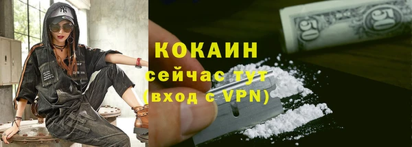 кокс Алексин
