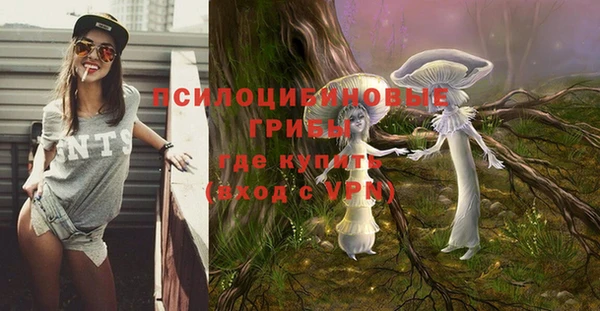 стафф Алексеевка