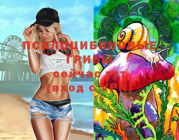 кокс Алексин